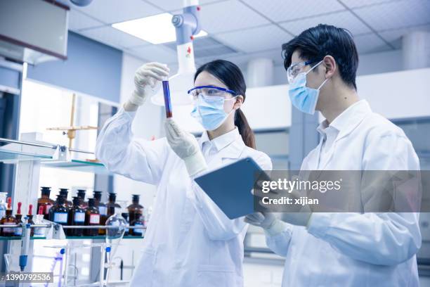 asian scientists working at the laboratory - china exam imagens e fotografias de stock
