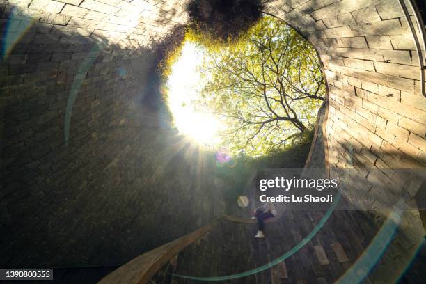 spiral up stairs in singapore. - tree ring bildbanksfoton och bilder