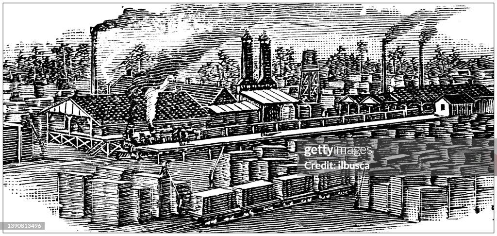 Antique illustration of USA, Texas landmarks and companies: Beaumont, Texas Tram and Lumber Co.