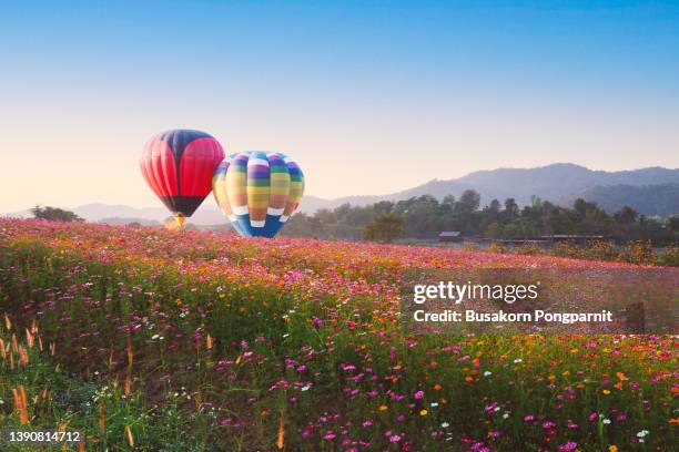 multi colored hot air balloon - ballon festival stock-fotos und bilder