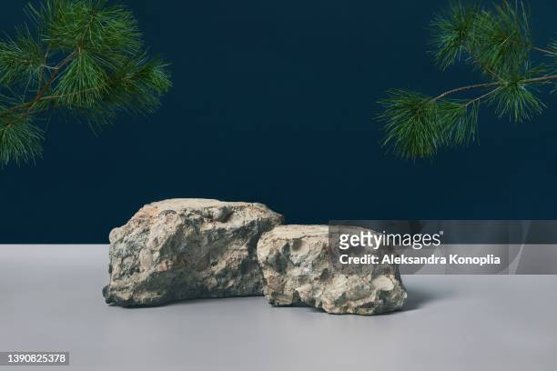 scene with empty gray stones podium and pine branches - felsen stock-fotos und bilder