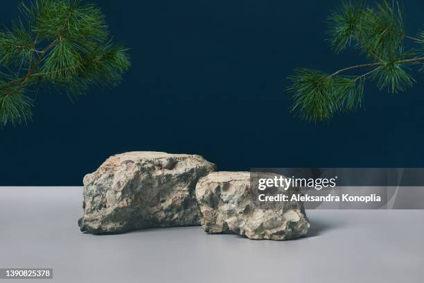 scene with empty gray stones podium and pine branches - ロック ストックフォトと画像