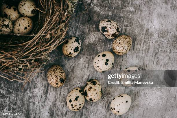 quail eggs on a wooden boards - uovo di quaglia foto e immagini stock