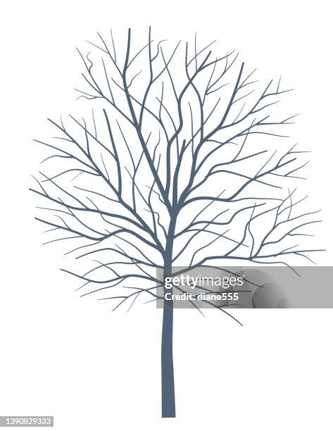 large flat color winter tree on transparent background - bare tree stock illustrations