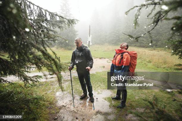 two men trekking on rainy day in mountain forest - wandern regen stock-fotos und bilder