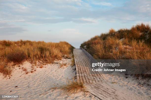 boardwalk at sandy beach - öresundregion stock-fotos und bilder