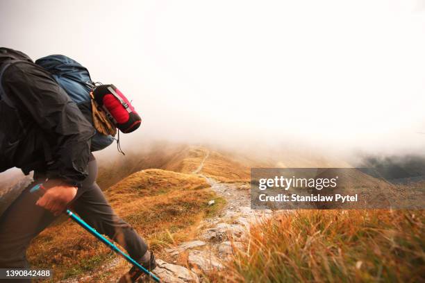 trekking man with backpack walking on trail in mountains at autumn - tatra mountains foto e immagini stock