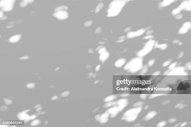 organic drop shadow on a white wall - light flare stockfoto's en -beelden