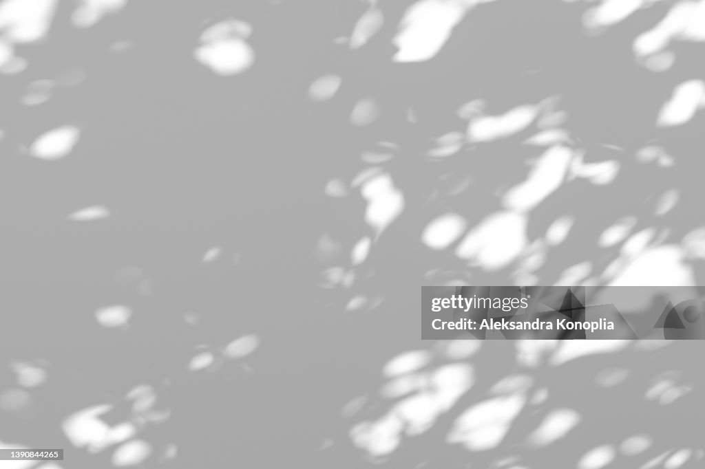 Organic drop shadow on a white wall