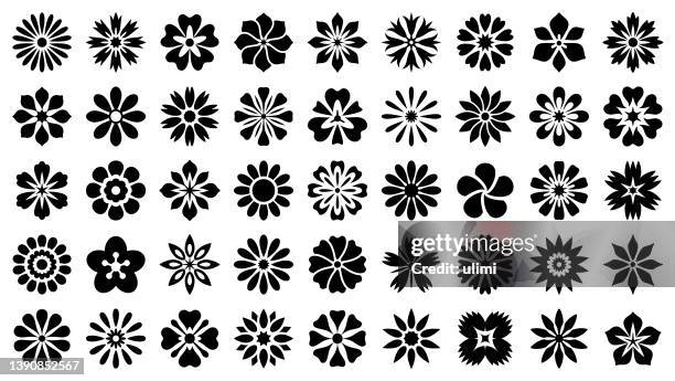 illustrazioni stock, clip art, cartoni animati e icone di tendenza di set di icone fiore - edelweiss