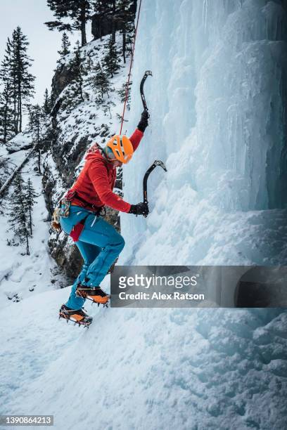 a female ice climber uses ice axes and crampons to climb a steep frozen waterfall - ice climbing stockfoto's en -beelden
