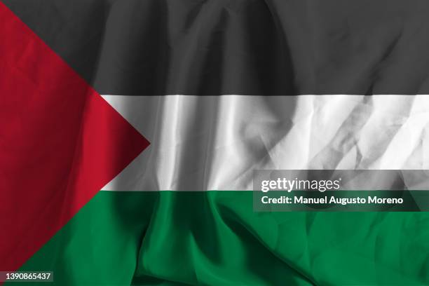 flag of palestine - palestina foto e immagini stock