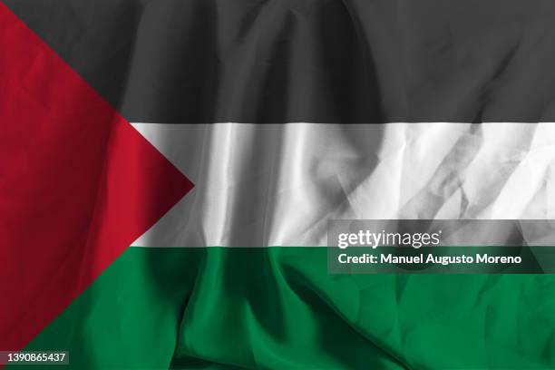 flag of palestine - 巴勒斯坦領土 個照片及圖片檔
