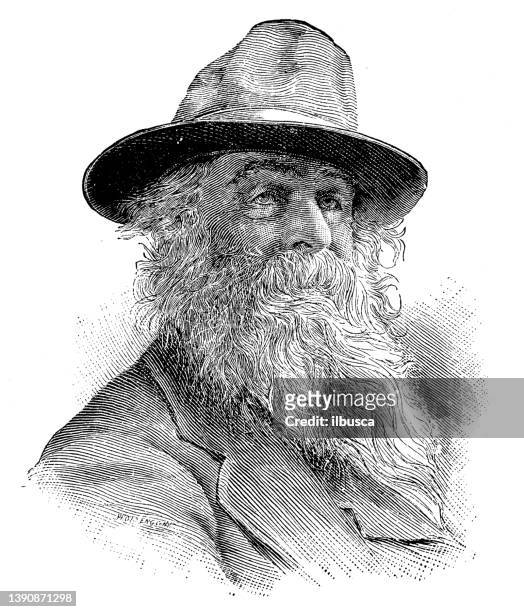 portrait of famous authors from the past: walt whitman - famous authors stock illustrations