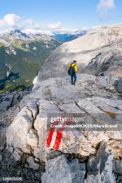 Scar Ridge 91 Scar Ridge Stock Photos, High-Res Pictures, and Images - Getty Images