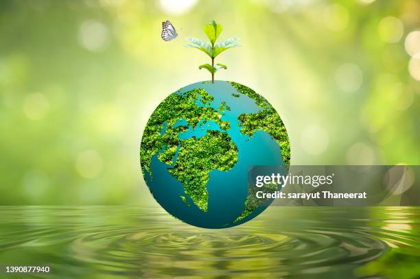 earth day a glass globe concept day earth save the world save the environment the world is in the grass of the green bokeh background - happy earth day - fotografias e filmes do acervo