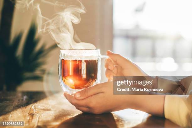 close-up tea cup on woman hand. - tea cup photos et images de collection