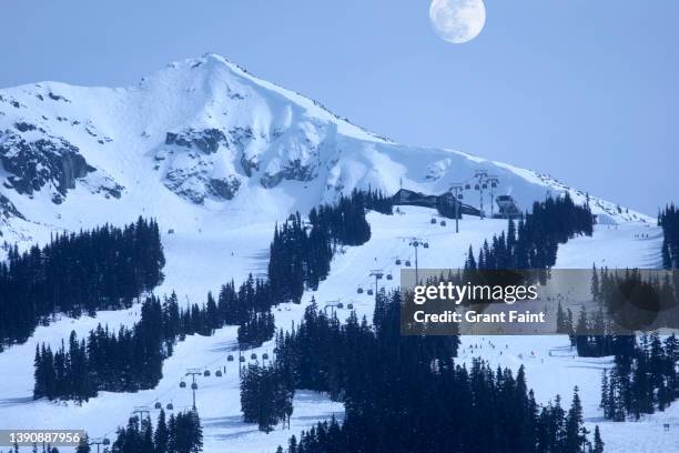 huge ski hill. - blackcomb mountain stock pictures, royalty-free photos & images