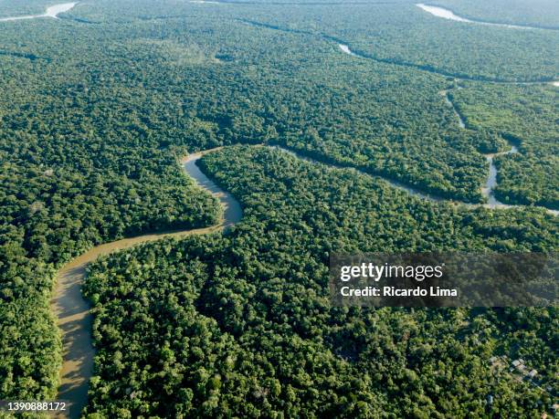 amazon rainforest - para state, brazil - amazon aerial ストックフォトと画像