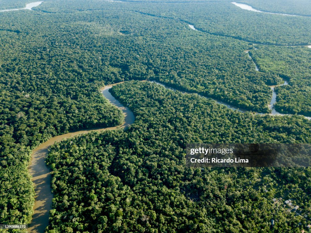 Amazon In Brazil Amazon Rainforest Para State Brazil High-Res Stock Photo - Getty Images