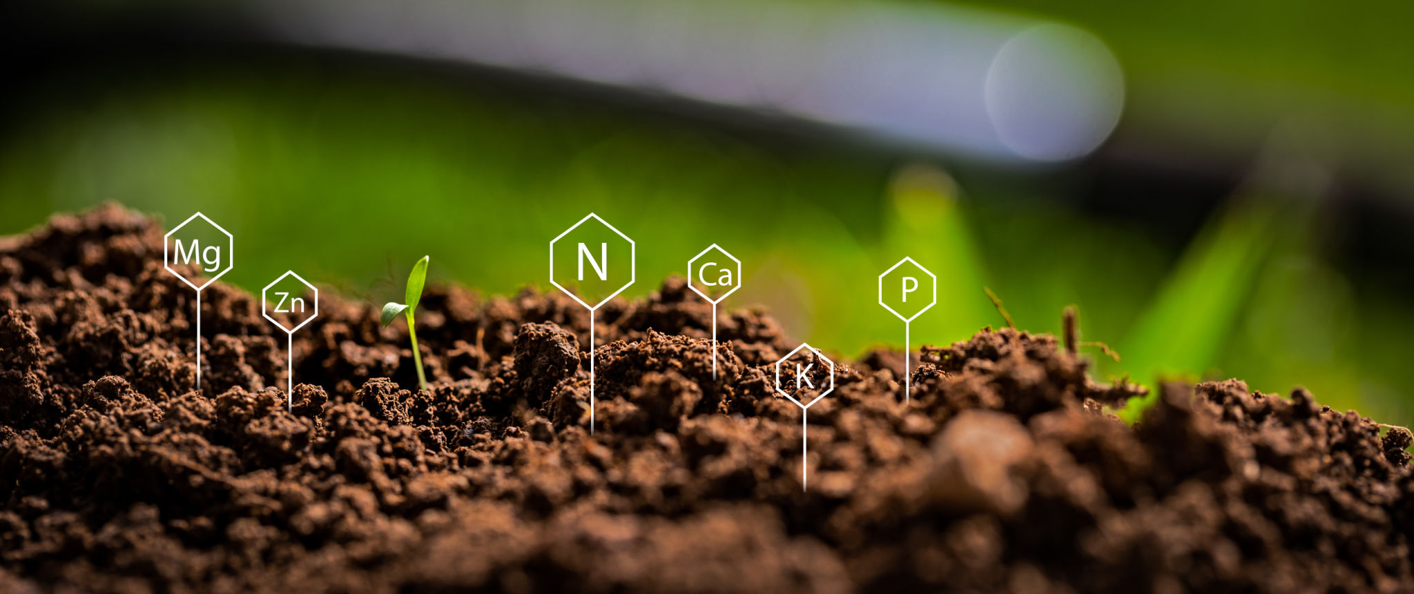 soil test