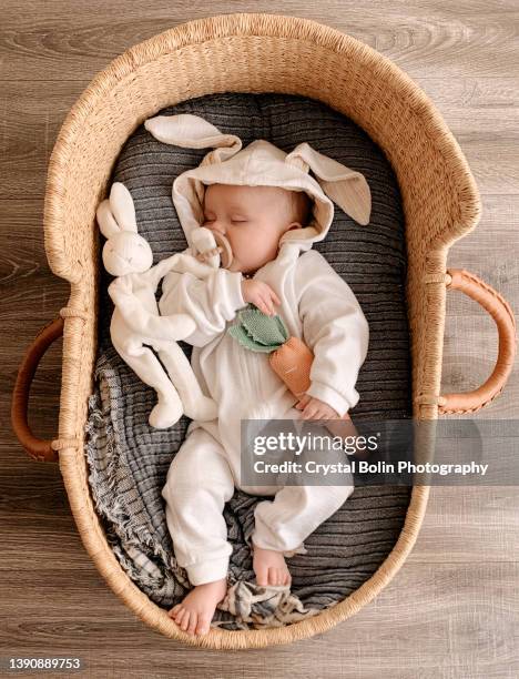 a 16-week-old snuggle bunny baby boy wearing a white bunny outfit while laying asleep in a cozy seagrass moses basket with his carrot - costume beige stock pictures, royalty-free photos & images