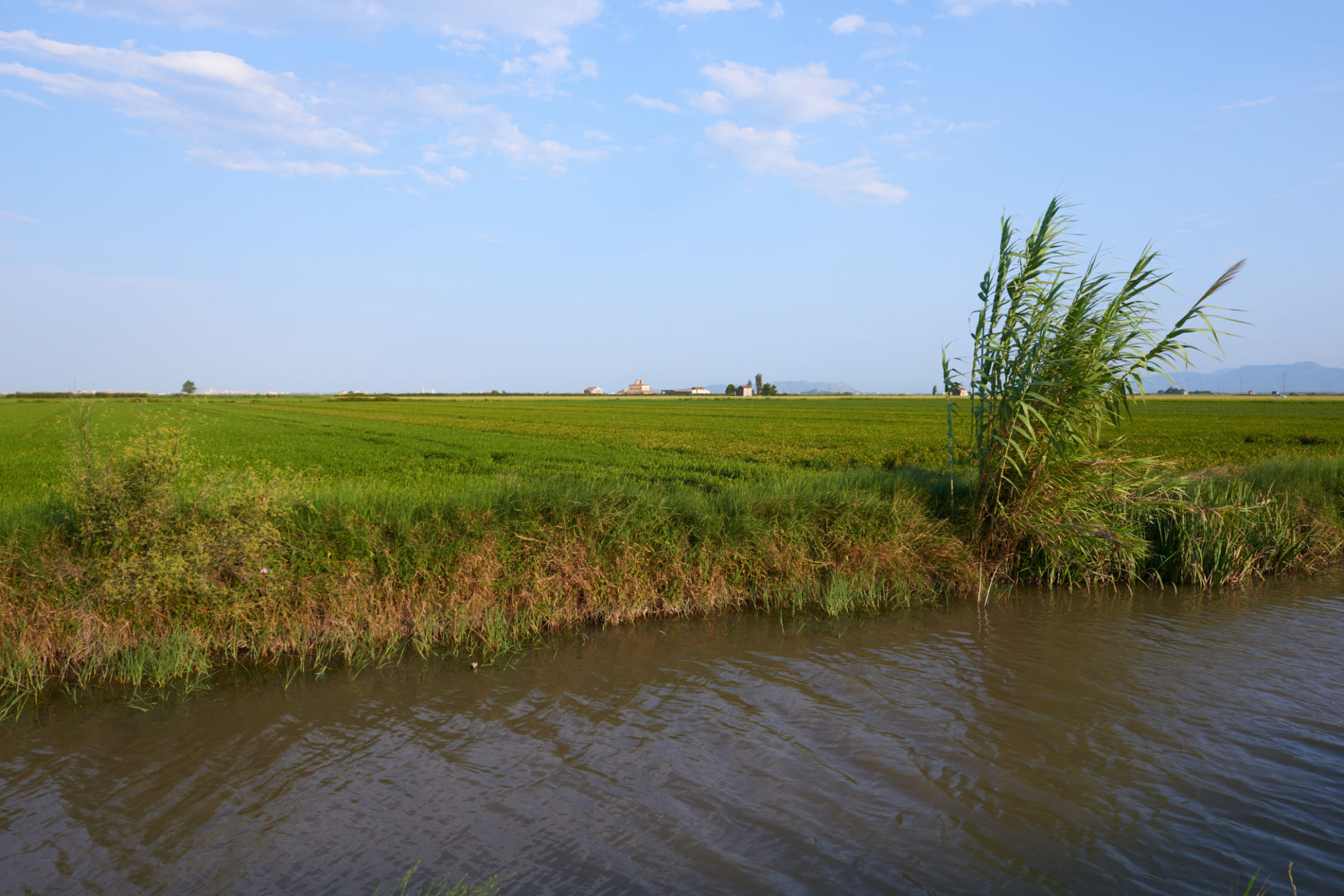 delta ebro navegacion