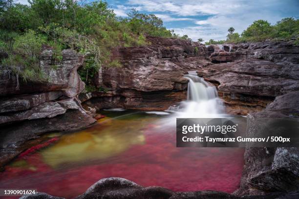 crystal river - cao cristales,venesuela,scenic view of waterfall in forest,la macarena,meta,colombia - departamento de meta fotografías e imágenes de stock