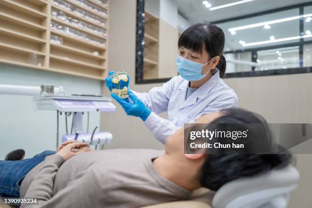 an asian female dentist showed the patient a model of a tooth - china exam stock pictures, royalty-free photos & images