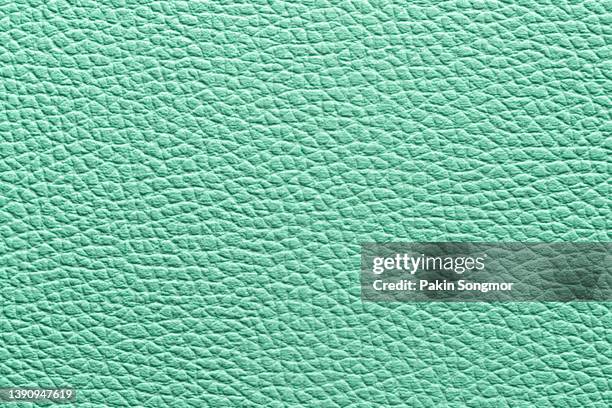 close-up of a green leather and textured background. - green color bildbanksfoton och bilder