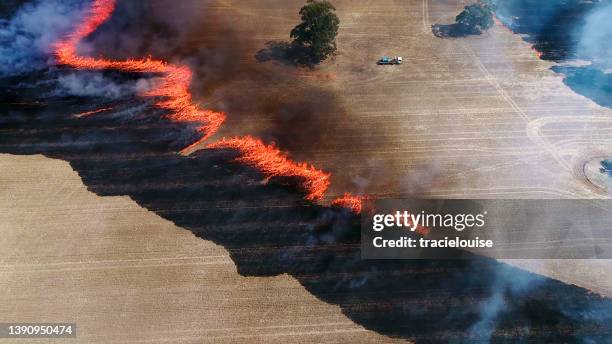 burning wheat fields - fire ember stock pictures, royalty-free photos & images