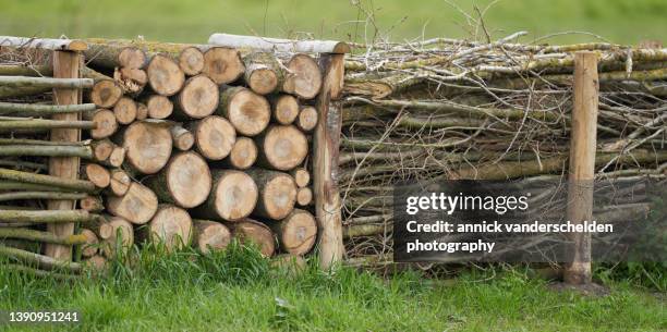dead hedge - hedge stock pictures, royalty-free photos & images