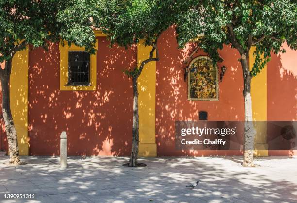 daily life in sevilla - hispanic day stock pictures, royalty-free photos & images