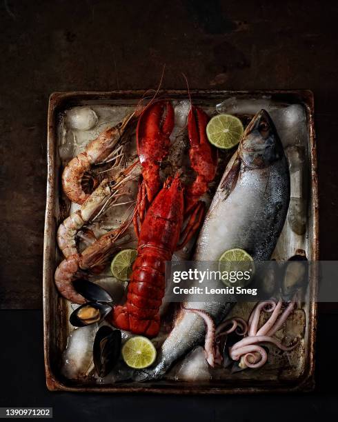 various fresh seafoods on ice in metal tray background - octopus food stock pictures, royalty-free photos & images