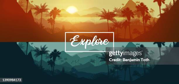 sunset and night tropical background,with palm tree silhouettes - rainforest night stock illustrations