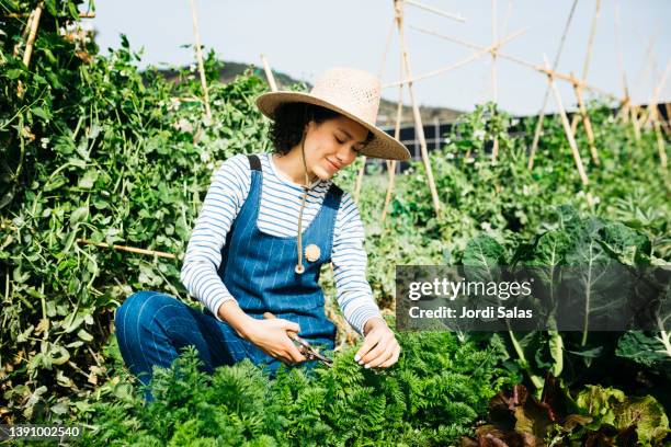 woman working in a community garden - economic community stock pictures, royalty-free photos & images