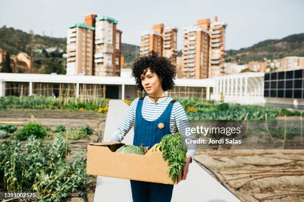 woman carrying a box with vegetables - hemodlade grönsaker bildbanksfoton och bilder