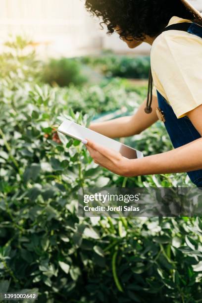 woman using a digital tablet working in a garden - agronomist - fotografias e filmes do acervo