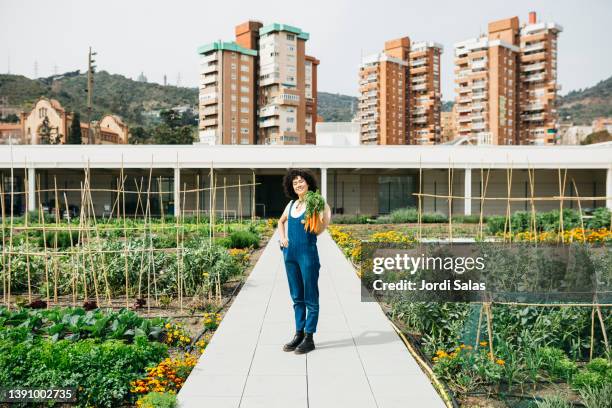 woman holding a bunch of carrots in a garden - the roof gardens stock pictures, royalty-free photos & images