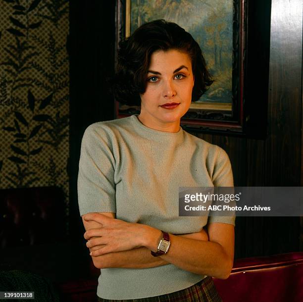 403 Sherilyn Fenn Photos Stock Photos, High-Res Pictures, and Images -  Getty Images