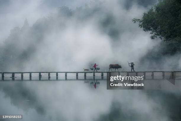 102 Jinyun Stock Photos, HighRes Pictures, and Images Getty Images