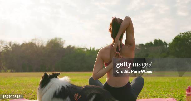 girl practice yoga with dog - tank top back stock pictures, royalty-free photos & images