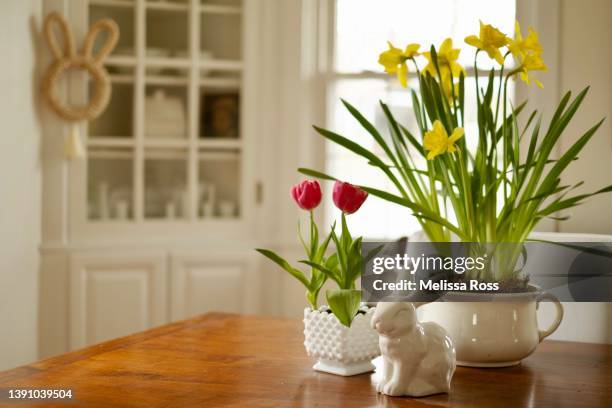 easter display on a dining room table. - daffodil ストックフォトと画像