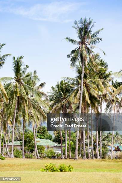 landscape in malaysia - langkawi stock-fotos und bilder