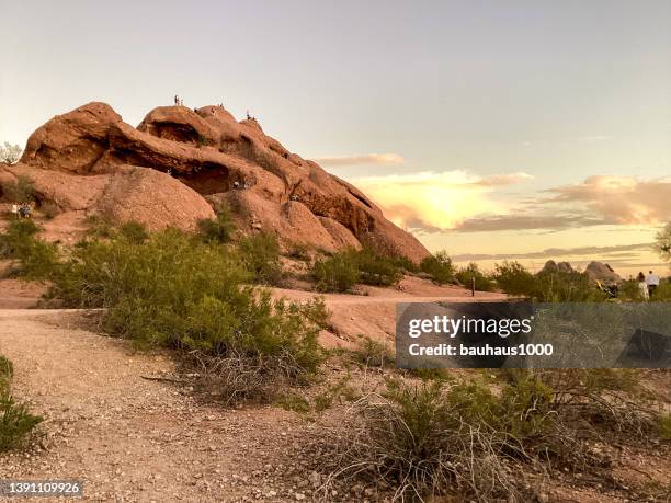 watching the sunset at hole in the rock, papago park, sonoran desert, arizona - lechuguilla cactus stock pictures, royalty-free photos & images