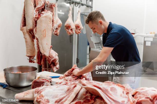 junger mann, der im schlachthof arbeitet - roast beef stock-fotos und bilder