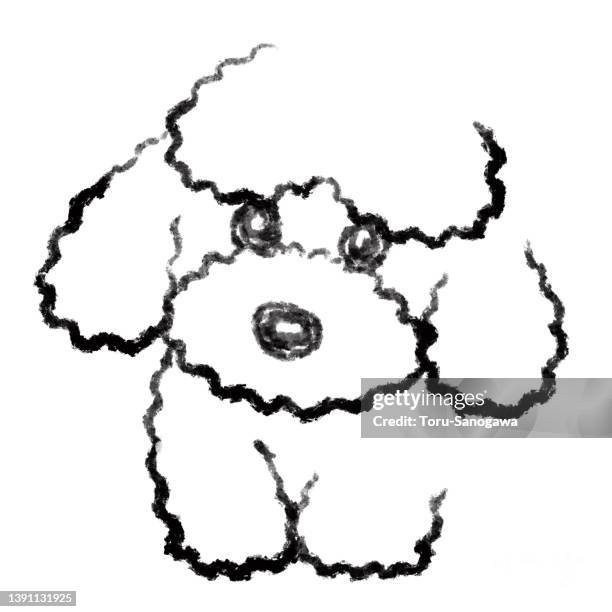 monochrome sketch of a toy poodle - poodle stock illustrations