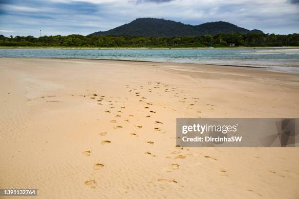 footprints in the sand.
forte beach, são francisco do sul, santa catarina, brazil. - impression forte fotografías e imágenes de stock
