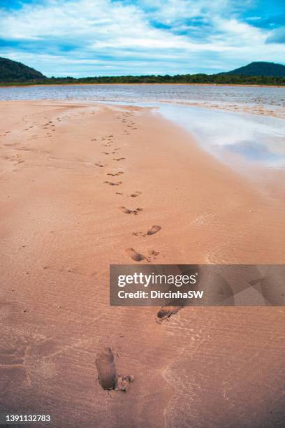 footprints in the sand.
forte beach, são francisco do sul, santa catarina, brazil. - impression forte stock pictures, royalty-free photos & images