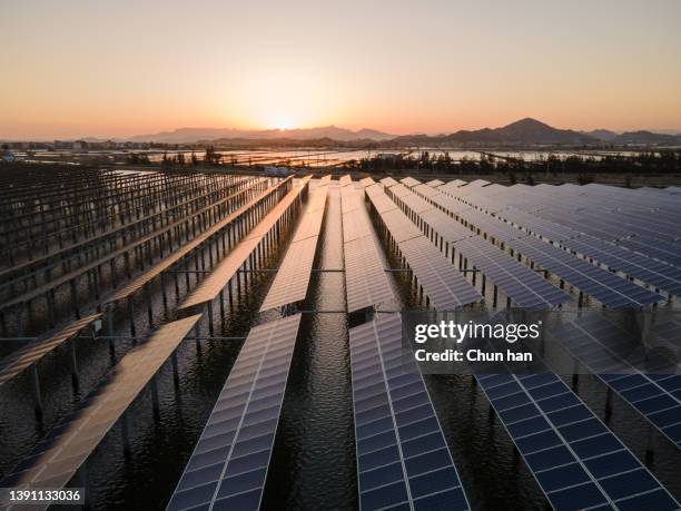 photovoltaic solar power station on the beach in the morning - low carbon technology stockfoto's en -beelden